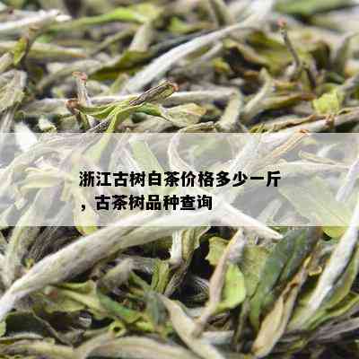 浙江古树白茶价格多少一斤，古茶树品种查询