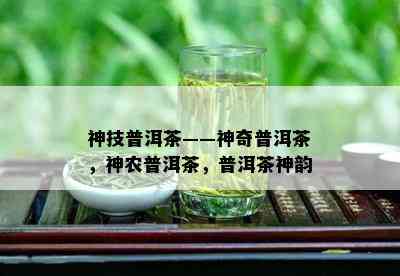 神技普洱茶——神奇普洱茶，神农普洱茶，普洱茶神韵