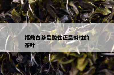 福鼎白茶是酸性还是碱性的茶叶