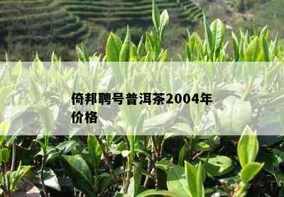 倚邦聘号普洱茶2004年价格