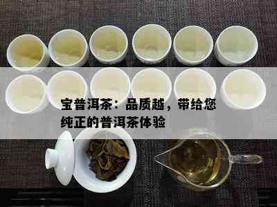 宝普洱茶：品质越，带给您纯正的普洱茶体验