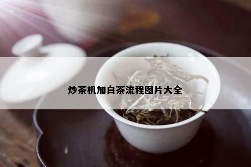 炒茶机加白茶流程图片大全