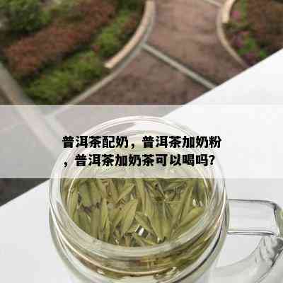 普洱茶配奶，普洱茶加奶粉，普洱茶加奶茶可以喝吗？