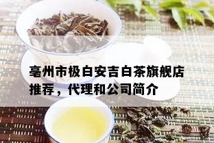 亳州市极白安吉白茶旗舰店推荐，代理和公司简介