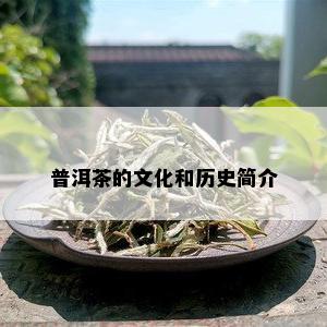 普洱茶的文化和历史简介