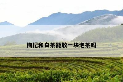 枸杞和白茶能放一块泡茶吗