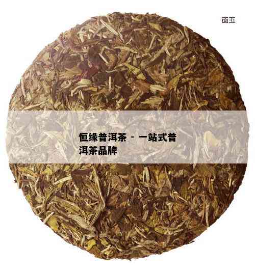 恒缘普洱茶 - 一站式普洱茶品牌