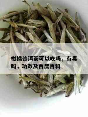 柑橘普洱茶可以吃吗，有吗，功效及百度百科