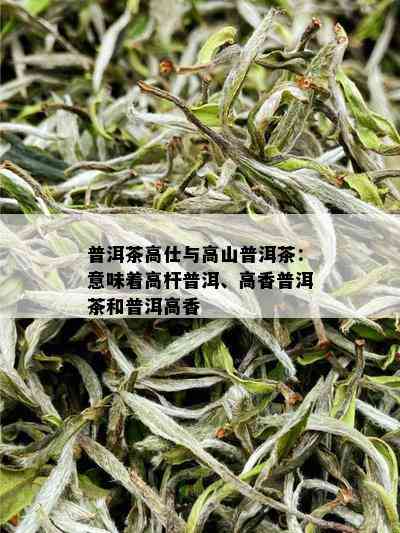 普洱茶高仕与高山普洱茶：意味着高杆普洱、高香普洱茶和普洱高香