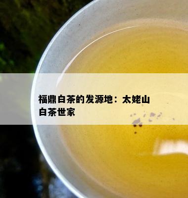 福鼎白茶的发源地：太姥山白茶世家