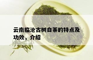 云南临沧古树白茶的特点及功效，介绍