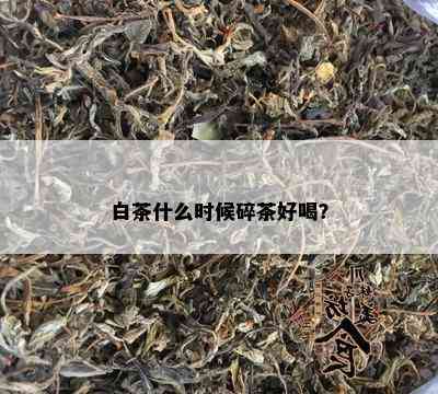 白茶什么时候碎茶好喝？