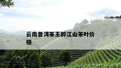 云南普洱茶王醉江山茶叶价格