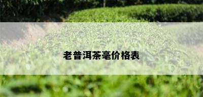 老普洱茶毫价格表