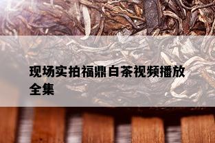 现场实拍福鼎白茶视频播放全集