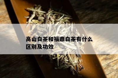 高山白茶和福鼎白茶有什么区别及功效