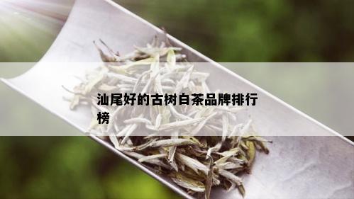 汕尾好的古树白茶品牌排行榜