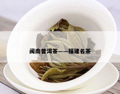 闽南普洱茶——福建名茶