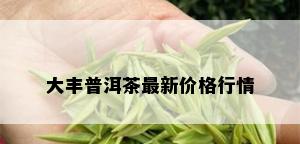 大丰普洱茶最新价格行情