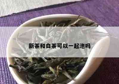 新茶和白茶可以一起泡吗