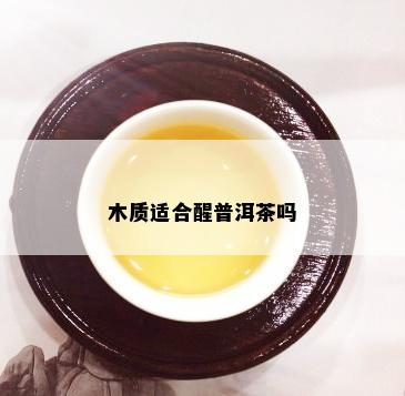 木质适合醒普洱茶吗