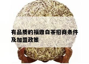 有品质的福鼎白茶招商条件及加盟政策