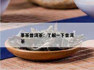 事茶普洱茶：了解一下普洱茶