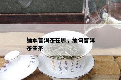 缅本普洱茶在哪，缅甸普洱茶生茶