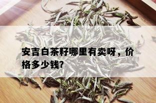 安吉白茶籽哪里有卖呀，价格多少钱？