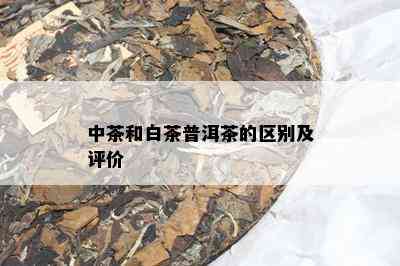 中茶和白茶普洱茶的区别及评价