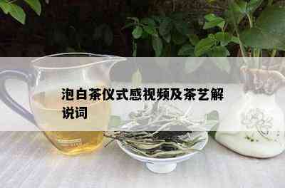 泡白茶仪式感视频及茶艺解说词