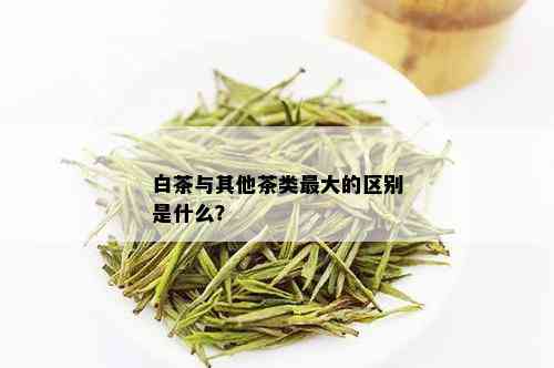 白茶与其他茶类更大的区别是什么？