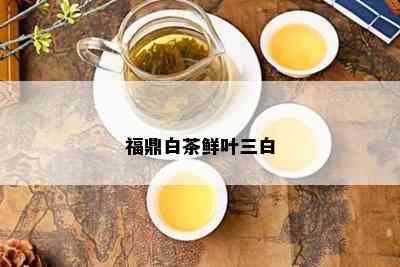 福鼎白茶鲜叶三白