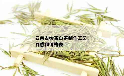 云南古树茶白茶制作工艺、口感和价格表