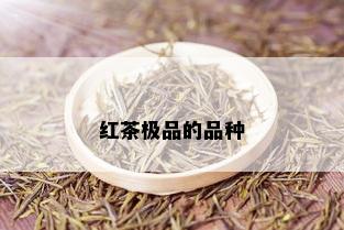 红茶极品的品种