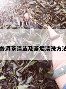 普洱茶清洁及茶垢清洗方法