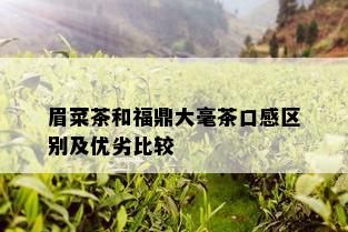 眉菜茶和福鼎大毫茶口感区别及优劣比较