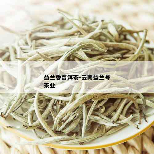 益兰香普洱茶-云南益兰号茶业