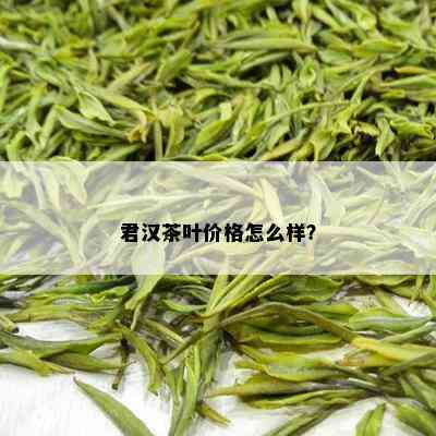 君汉茶叶价格怎么样？