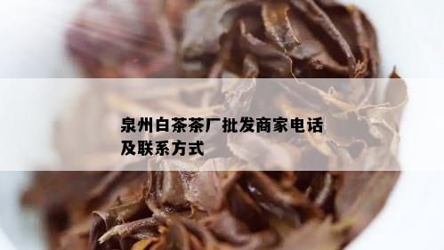 泉州白茶茶厂批发商家电话及联系方式