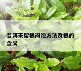 普洱茶留根闷泡方法及根的含义