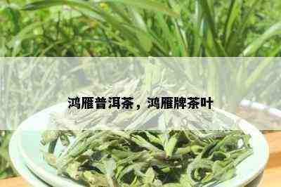 鸿雁普洱茶，鸿雁牌茶叶