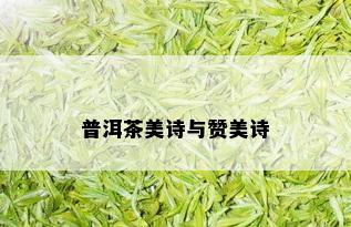 普洱茶美诗与赞美诗