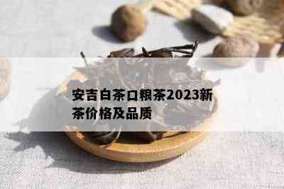 安吉白茶口粮茶2023新茶价格及品质