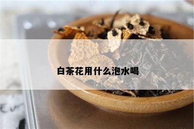 白茶花用什么泡水喝