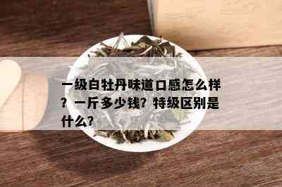 一级白牡丹味道口感怎么样？一斤多少钱？特级区别是什么？