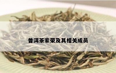 普洱茶家荣及其相关成员