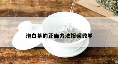 泡白茶的正确方法视频教学