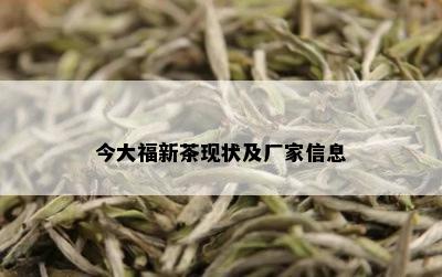 今大福新茶现状及厂家信息