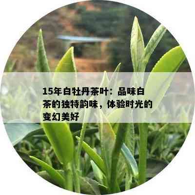 15年白牡丹茶叶：品味白茶的独特韵味，体验时光的变幻美好